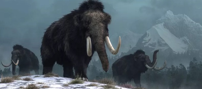 Elefánt-mamut hibrideket hoznának létre