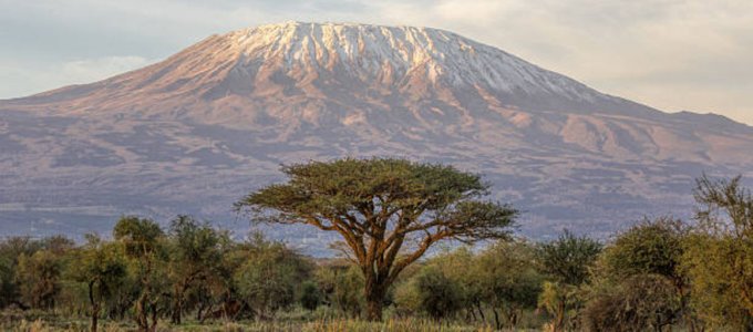 Afrika digitális átalakulását támogatja a Visa