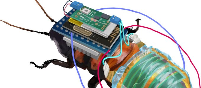 Kiborg csótányt készítettek japán tudósok