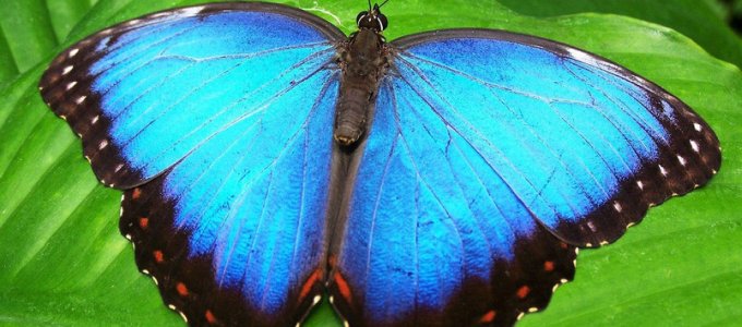 Természet által inspirált felületek 3D-nyomtatóval