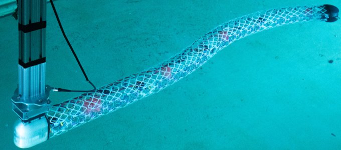 Modulokból áll egy új víz alatti robot