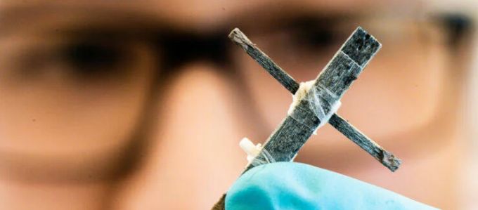 Fából készítettek tranzisztort svéd kutatók